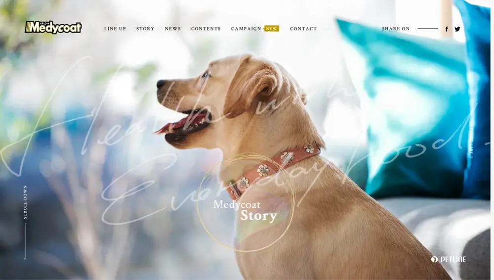 メディコート（Medycoat） 愛犬の健康維持に｜国産ドッグフード｜ペットラインのアイキャッチ画像