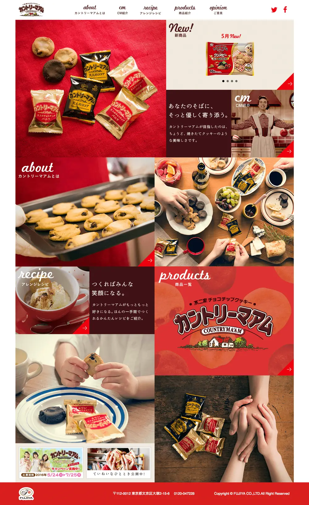 不二家チョコチップクッキー　カントリーマアム overview image