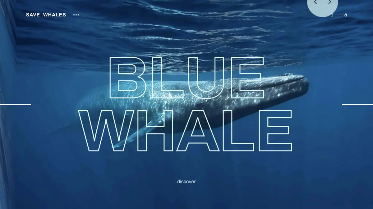 Save whalesのアイキャッチ画像