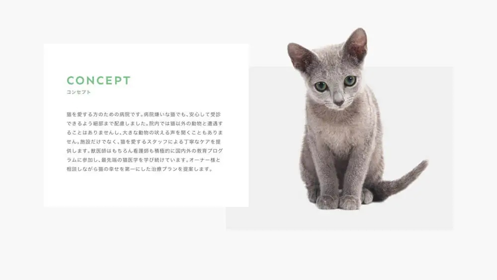 Tokyo Cat Specialists | 猫の専門病院 overview image