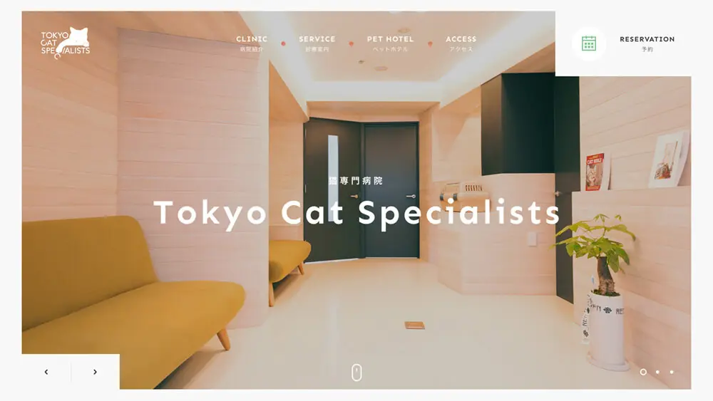 Tokyo Cat Specialists | 猫の専門病院のアイキャッチ画像