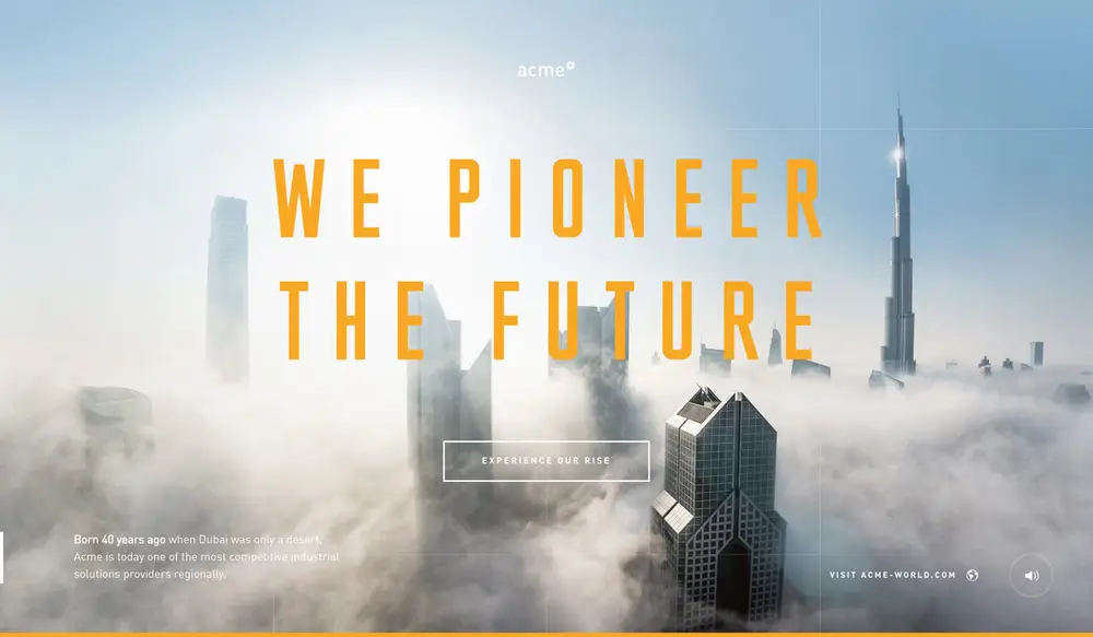 ACME – Experience overview image