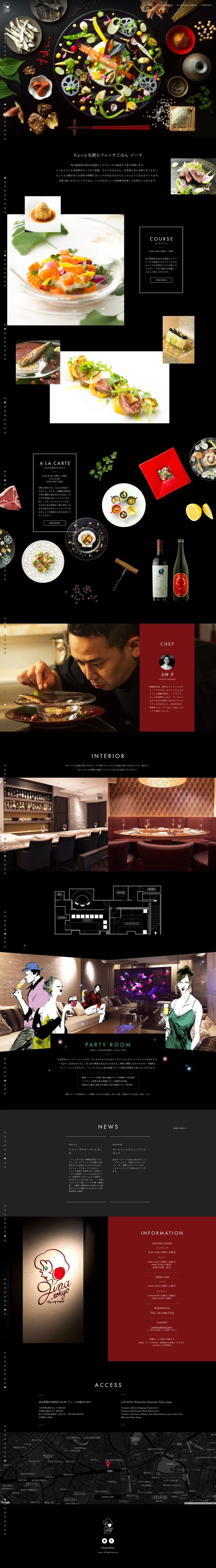gina overview image