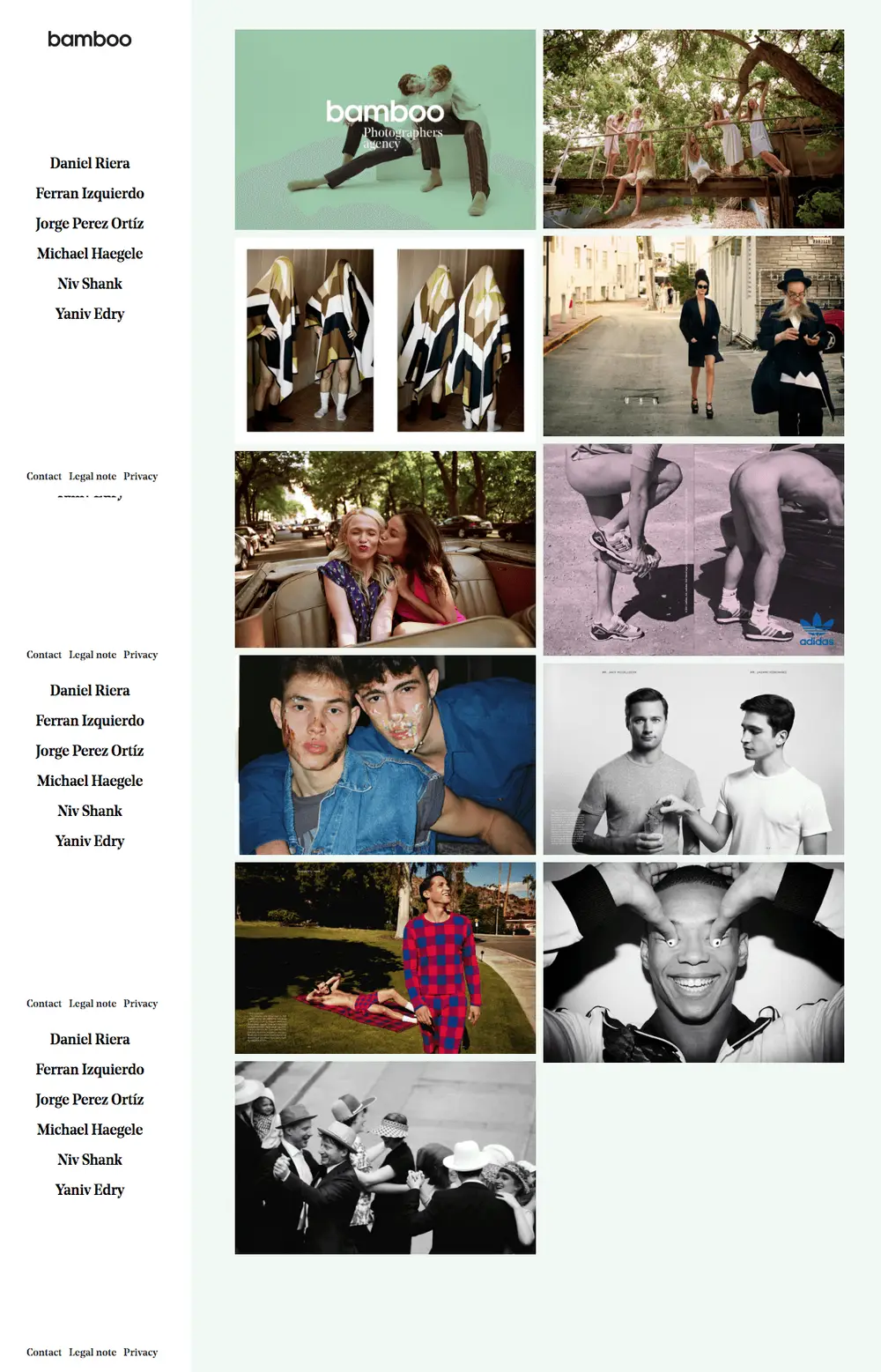 bamboo – photographers agency overview image