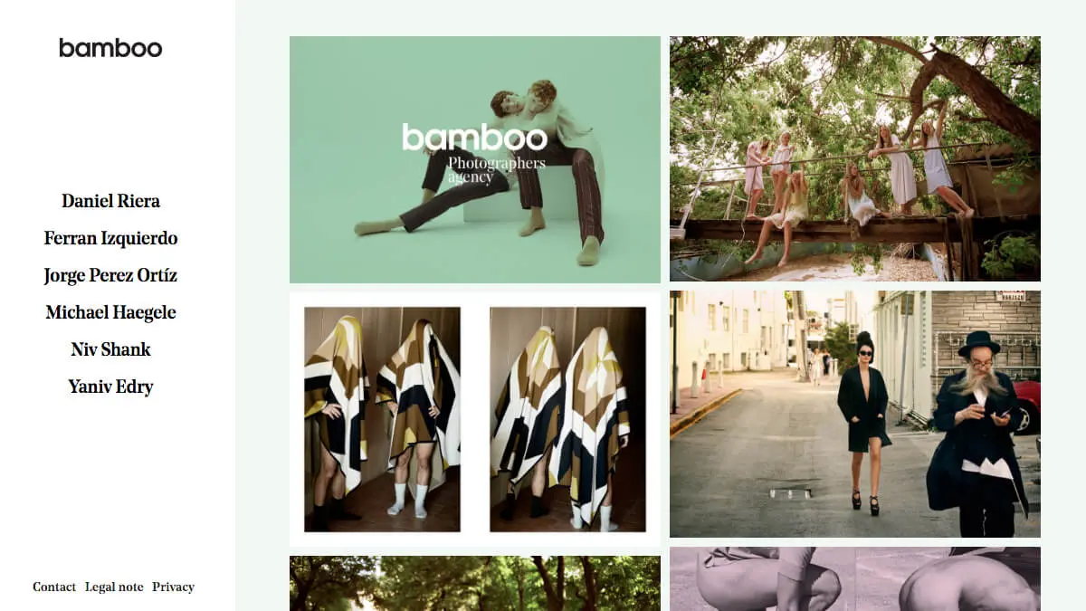 bamboo – photographers agencyのアイキャッチ画像